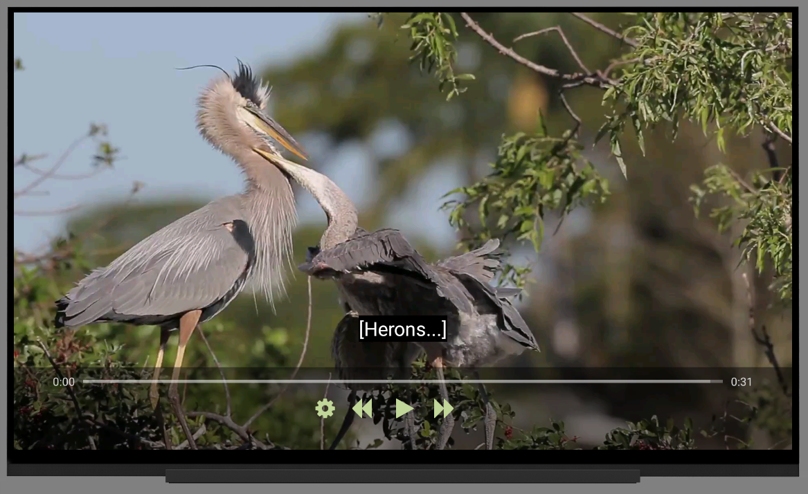 Exemple d'application stylisée et contrôlée avec des sous-titres affichés